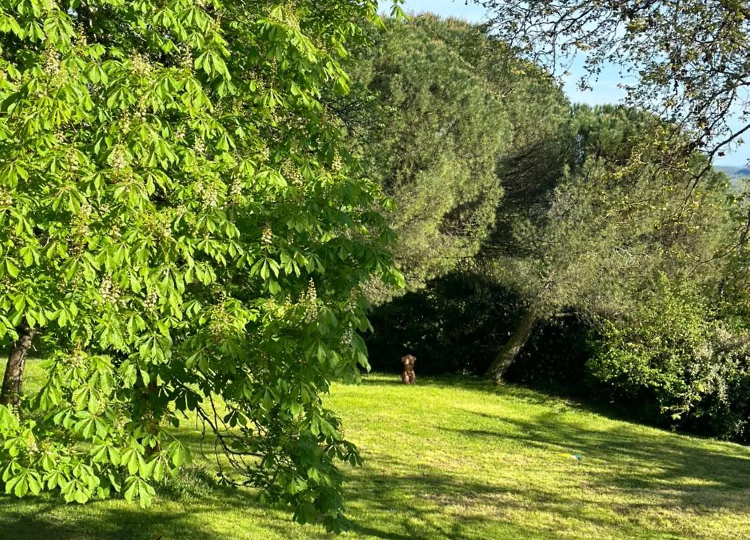 Bed and Breakfast Les Hauts De Saulies - Chambre Et Table D'Hotes De Charme Vers  Γαλλία