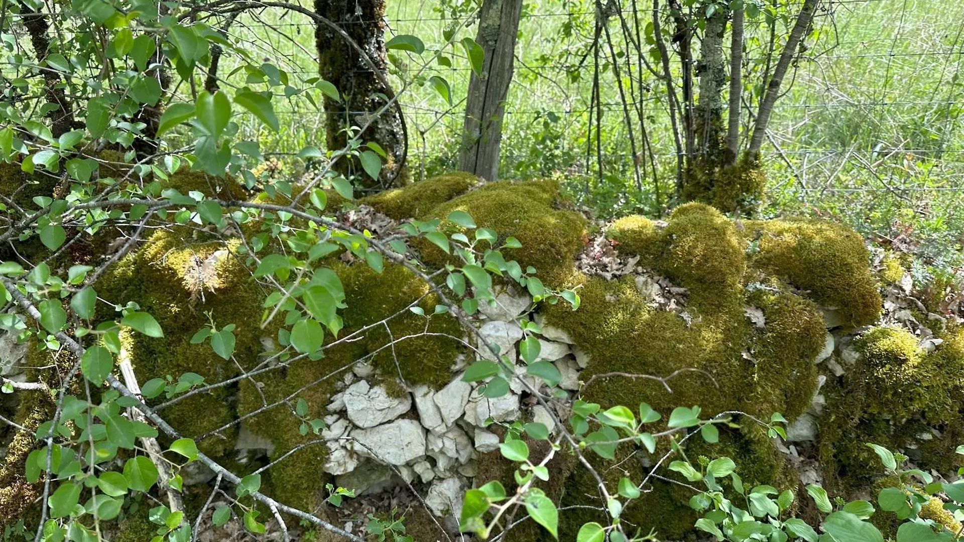 Les Hauts De Saulies - Chambre Et Table D'Hotes De Charme Vers  Γαλλία